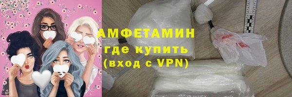индика Алексин