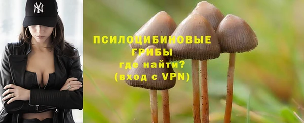 дурь Алзамай