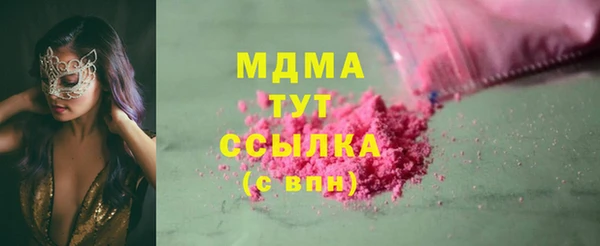 индика Алексин
