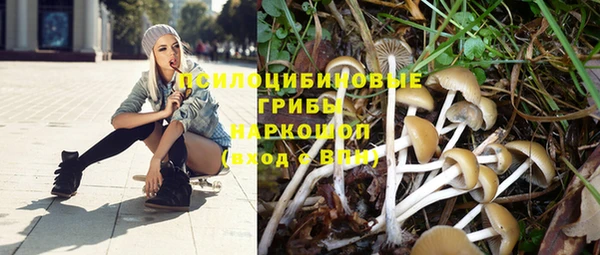 дурь Алзамай