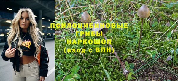 бошки Алексеевка
