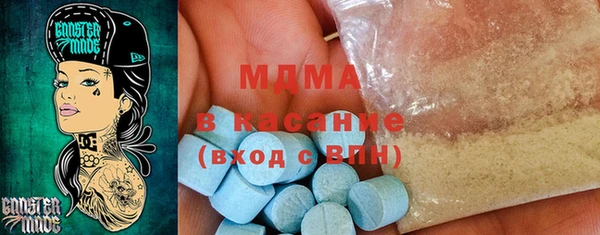 индика Алексин