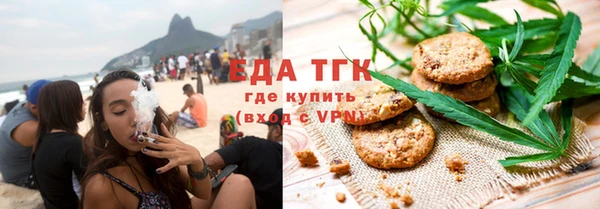 индика Алексин