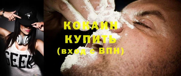 индика Алексин